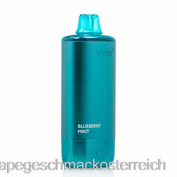 Vyve 10000 Einweg-Vape-Geschmack Blaubeer-Minze